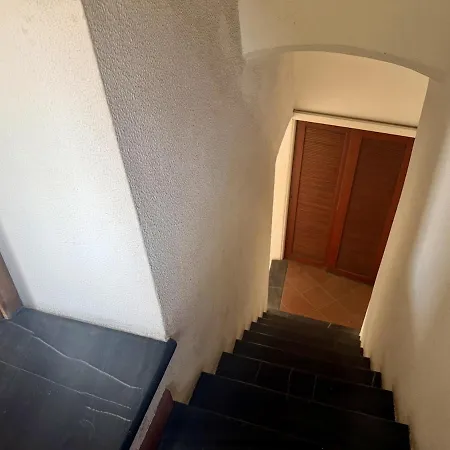 Host4u Maadel S Nest In The Center Imperia